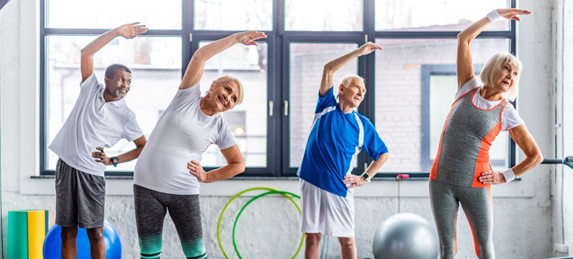 MEGAGYM GYM DOUCE