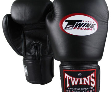 Boxe Thaïlandaise à Sens (89100)